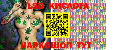 мдпв Гусев