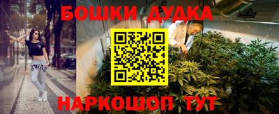мдпв Гусев