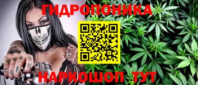 мдпв Гусев