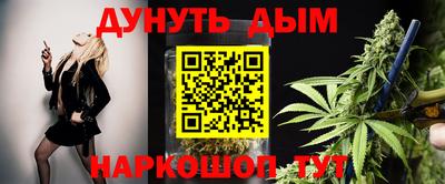 ALPHA PVP Гай